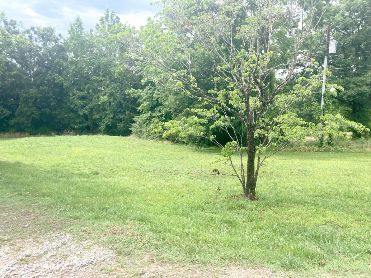 Lot at 318 High Street, Victoria&nbsp;VA