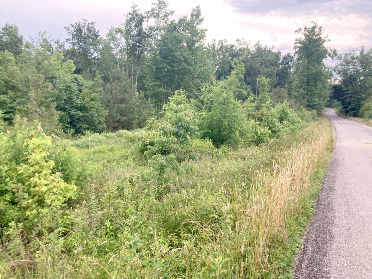 Lots 35-36 Plank Rd, 2.18&nbsp;acres