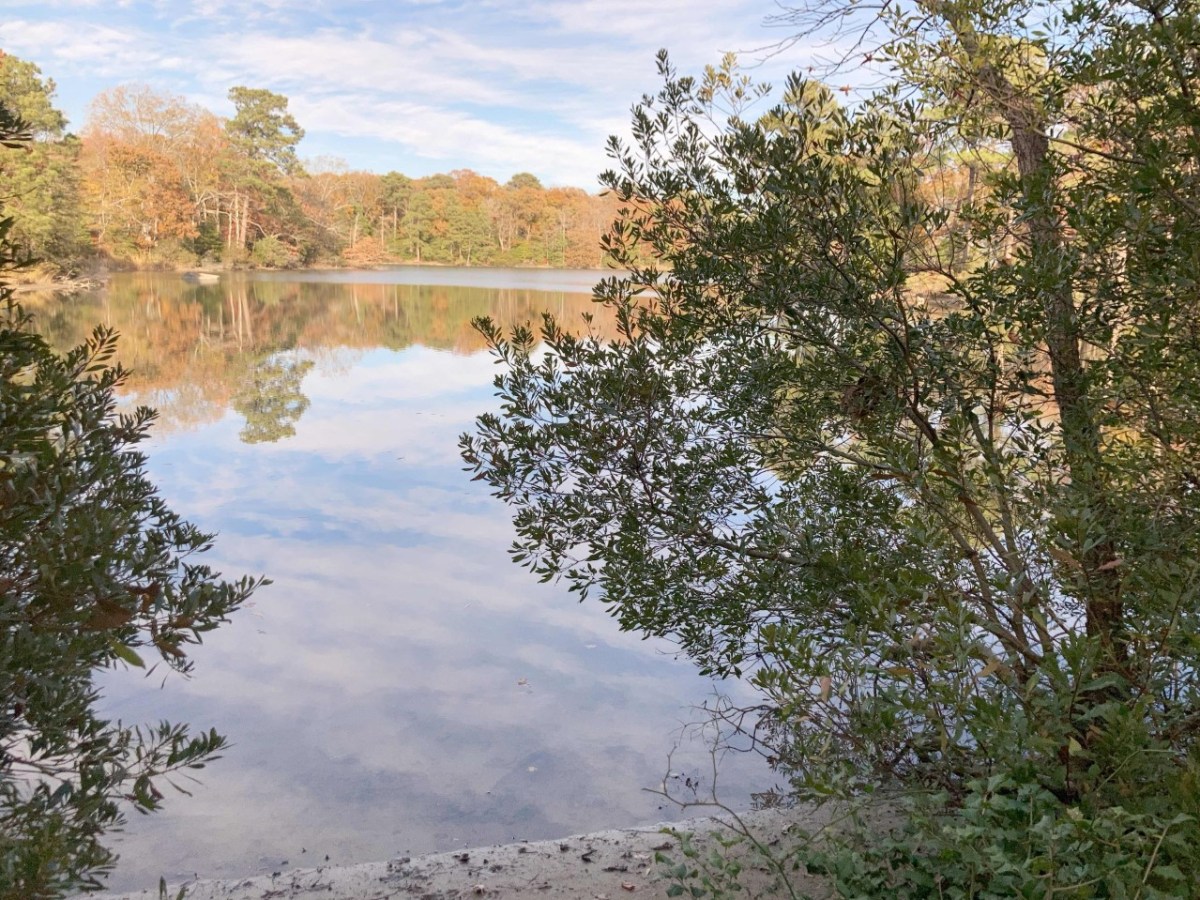 Blackberry Rd, 1000 Feet Waterfront&nbsp;Lot