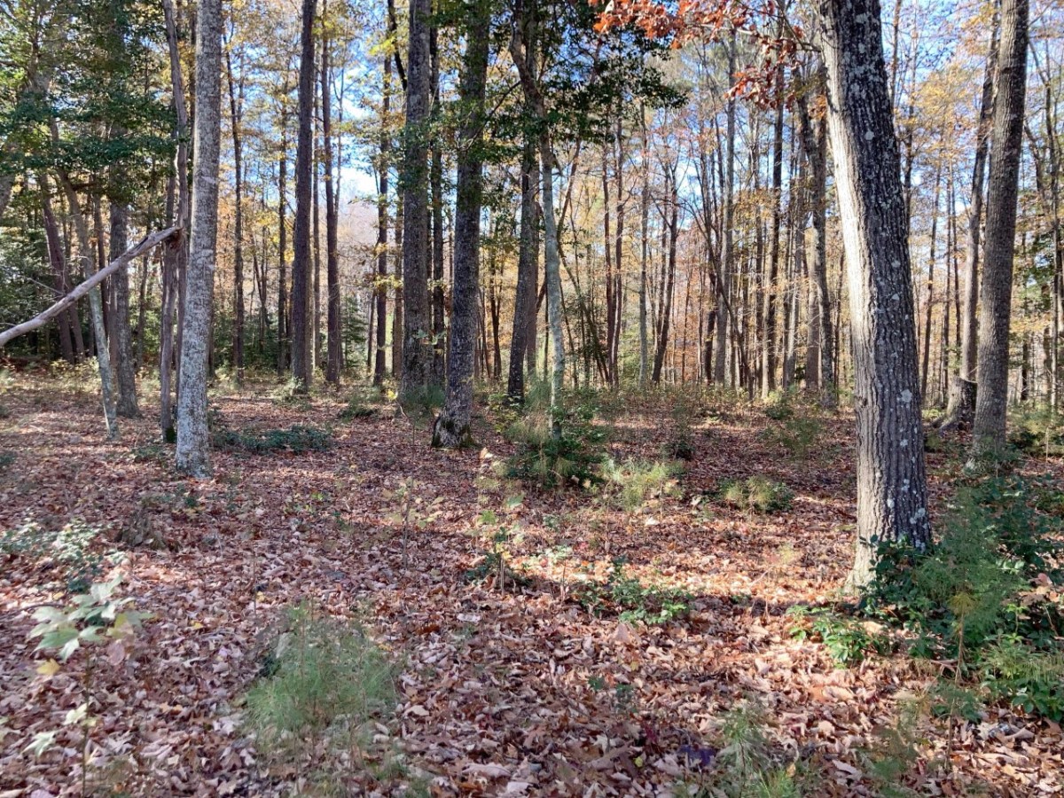 Rowes Landing, Lot&nbsp;6