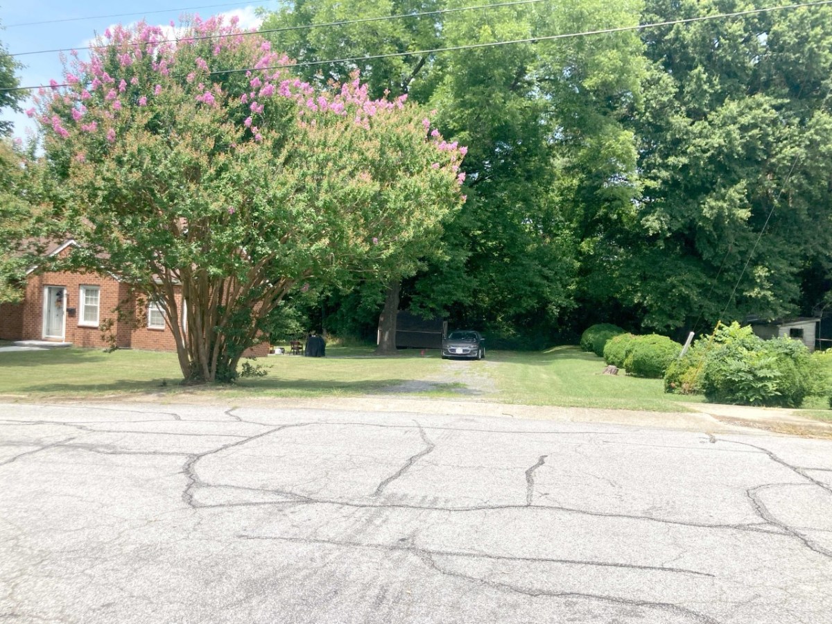 Vacant Lot Park Avenue,&nbsp;Farmville