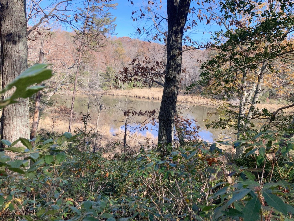 Rowes Landing, Lot&nbsp;5